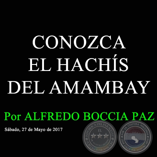 CONOZCA EL HACHÍS DEL AMAMBAY - Por ALFREDO BOCCIA PAZ - Sábado, 27 de Mayo de 2017